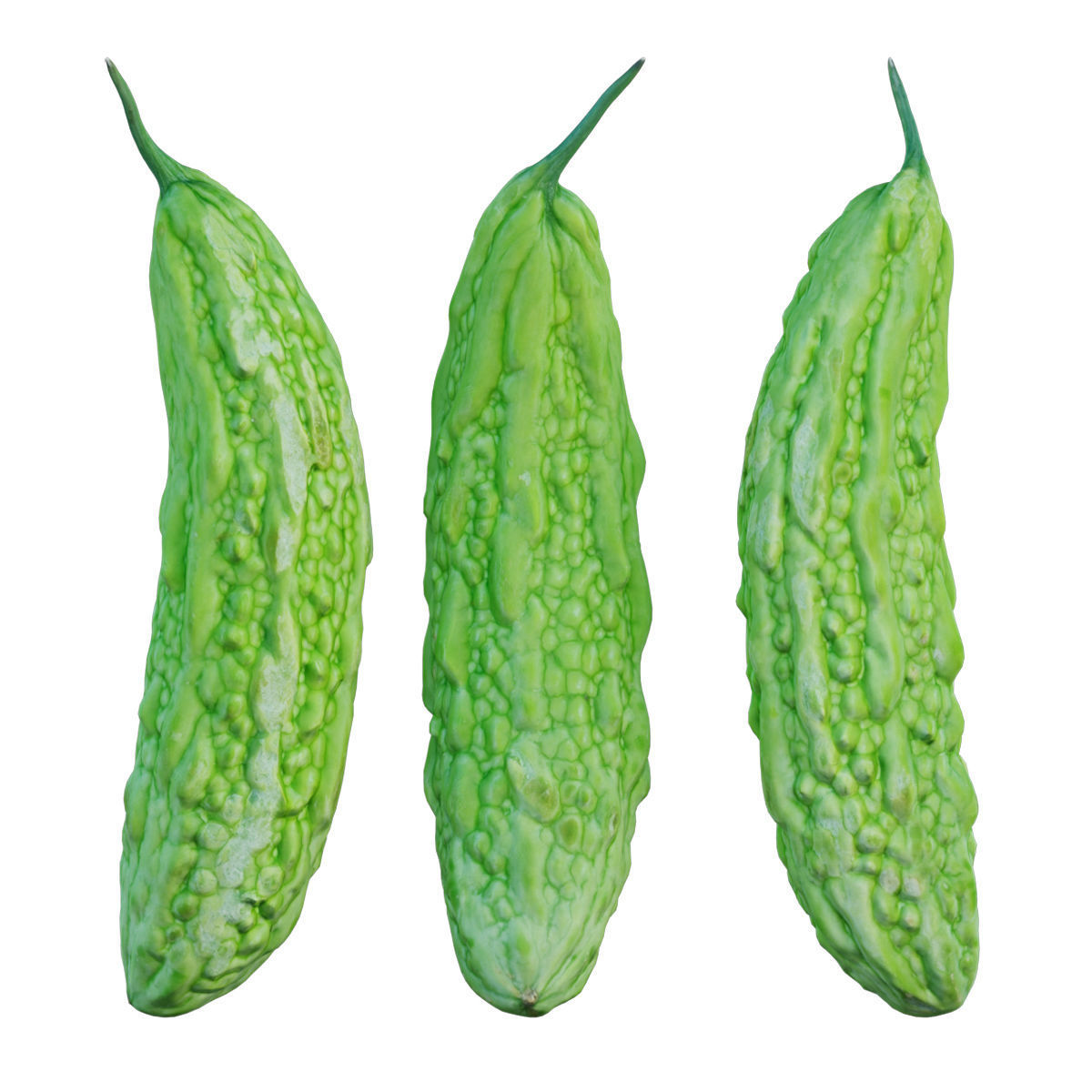 Bitter melon 3D model_1