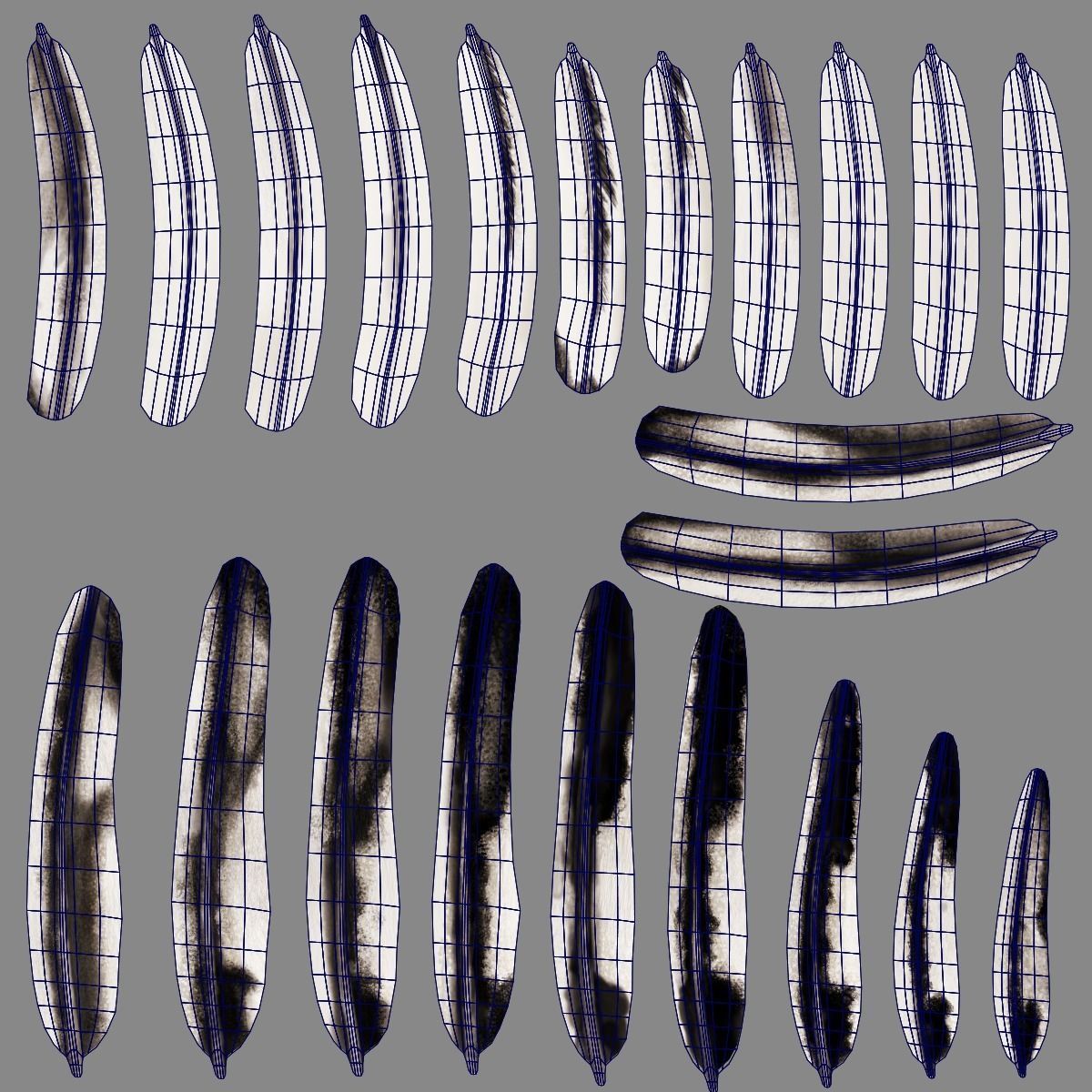 White Hen Animated VFX Grace 3D model_36