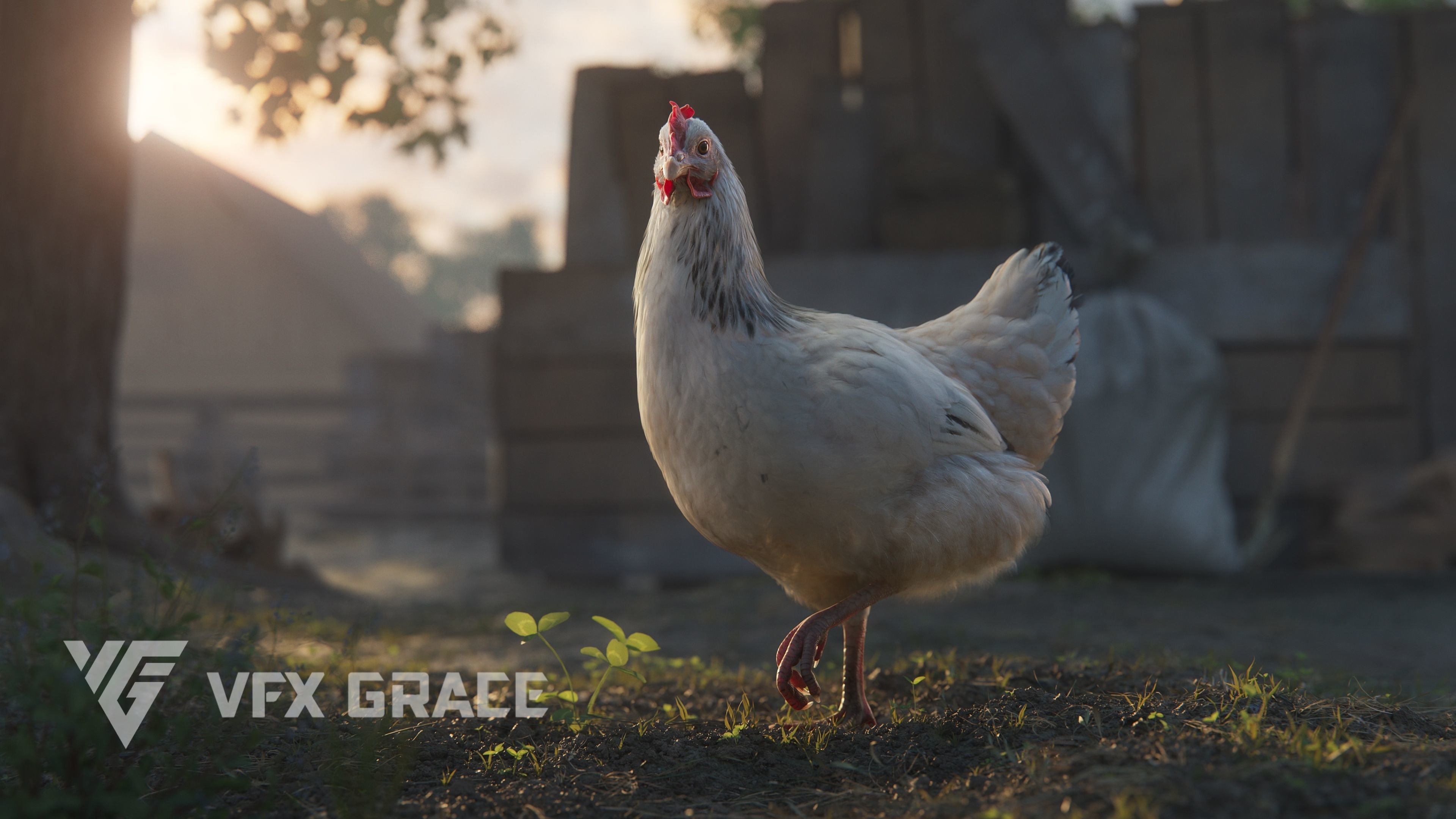 White Hen Animated VFX Grace 3D model_7