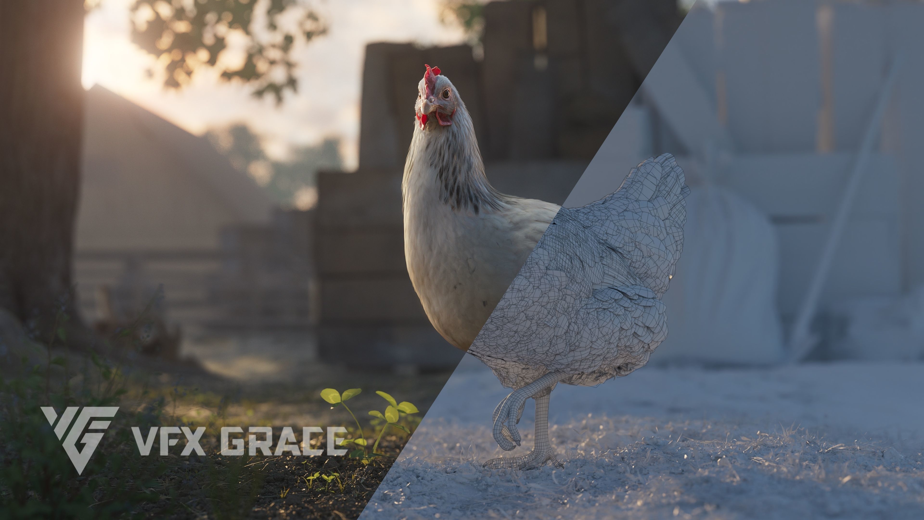 White Hen Animated VFX Grace 3D model_8