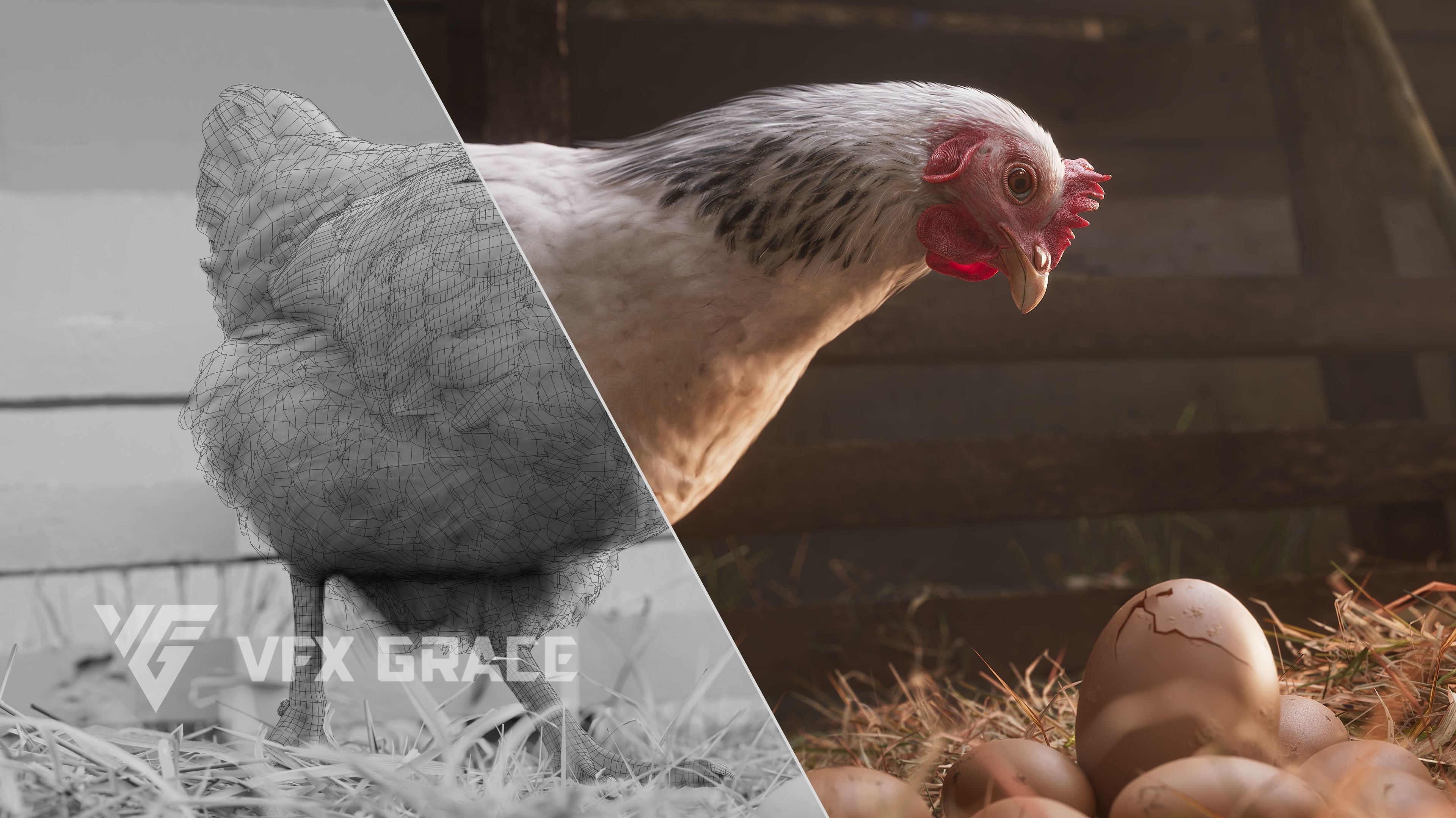 White Hen Animated VFX Grace 3D model_6