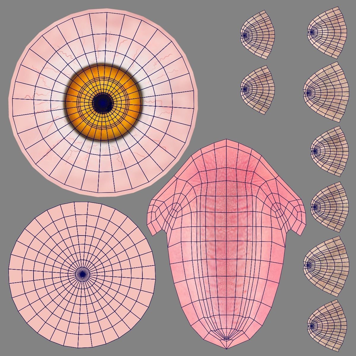 White Hen Animated VFX Grace 3D model_31