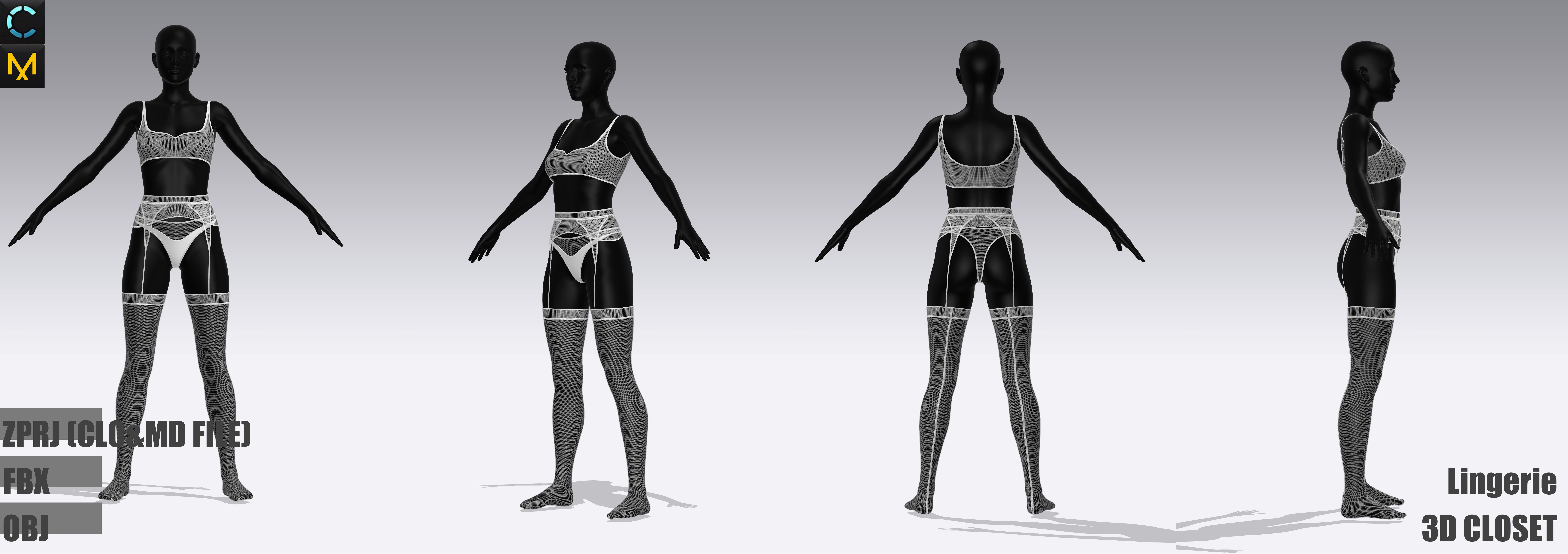 Lingerie and underwear 3D model_1