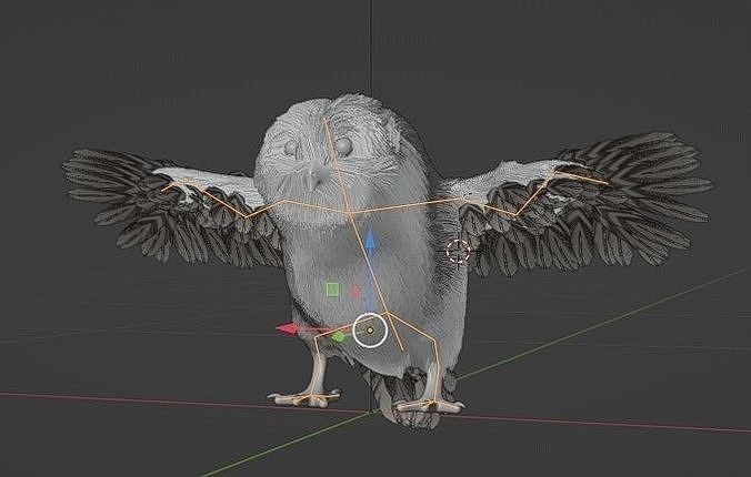 Owl Model Owl rigged 3D model | CGTrader