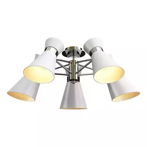 laconica ceiling light with five lights