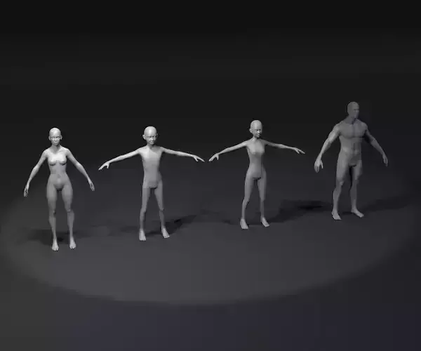 Human Body Base Animated Rigged 3D Model 20k Collection 