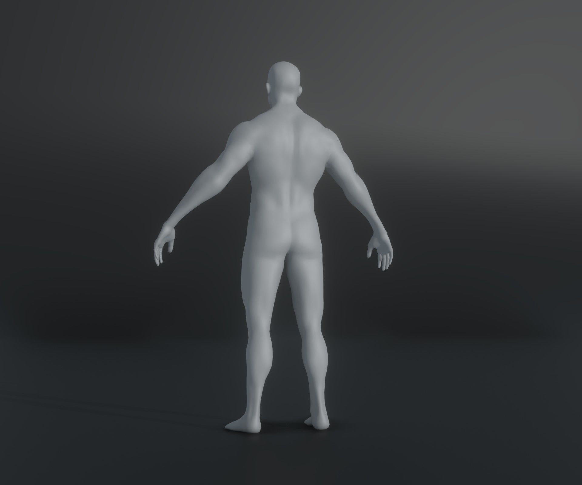 Human Body Base Animated Rigged 3D Model 20k Collection _84