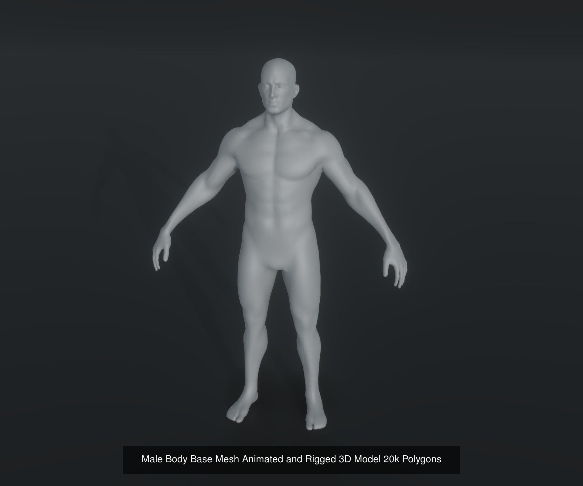Human Body Base Animated Rigged 3D Model 20k Collection _6
