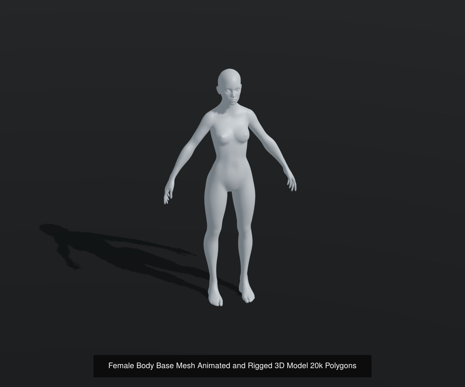 Human Body Base Animated Rigged 3D Model 20k Collection _8