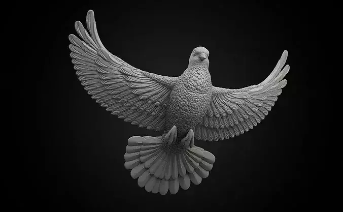 dove 1 flying