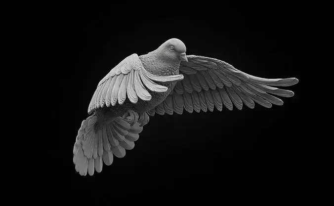dove 2 flying in sky