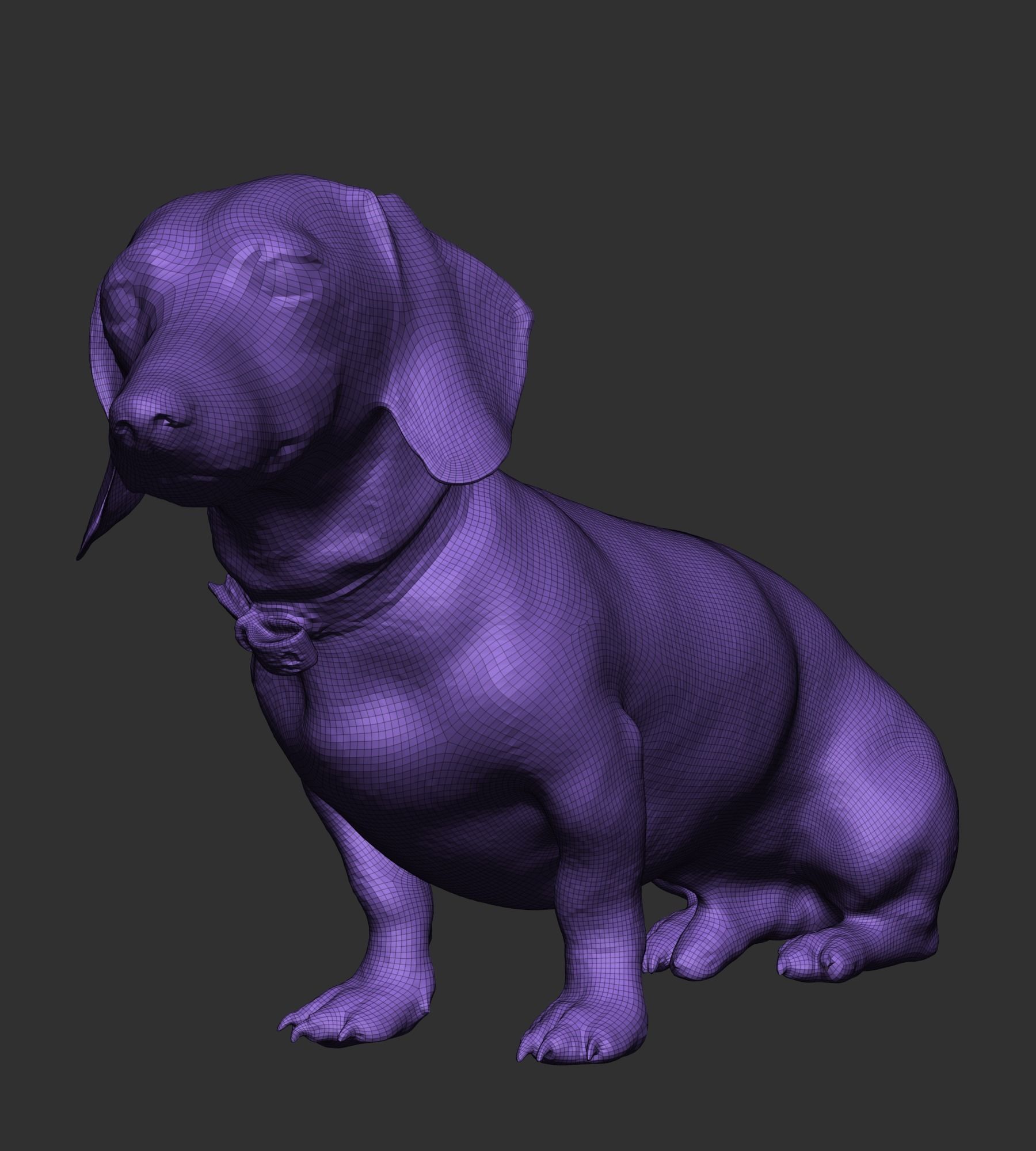 Dachshund dog 26 Low-poly 3D model_5