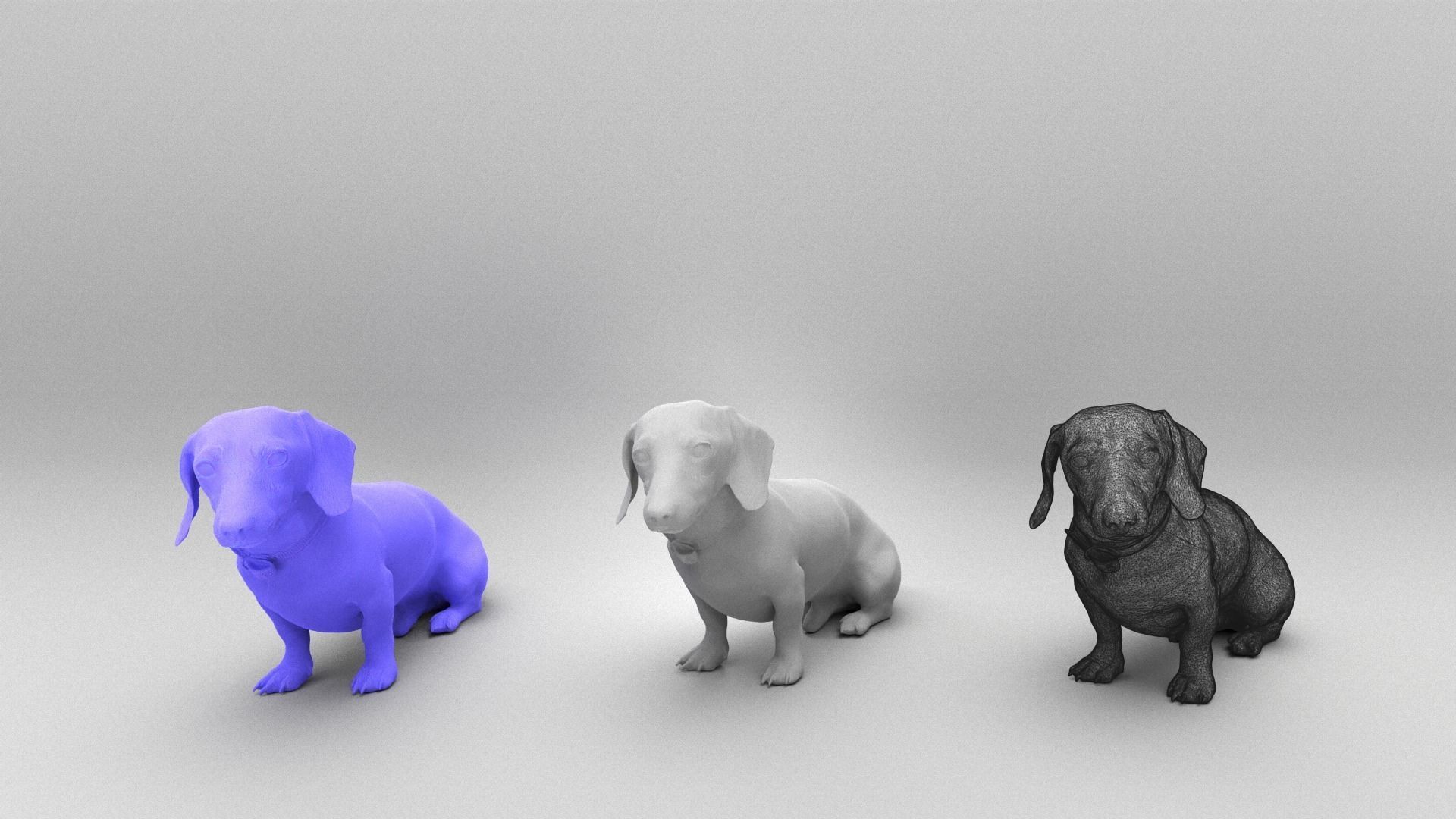 Dachshund dog 26 Low-poly 3D model_4