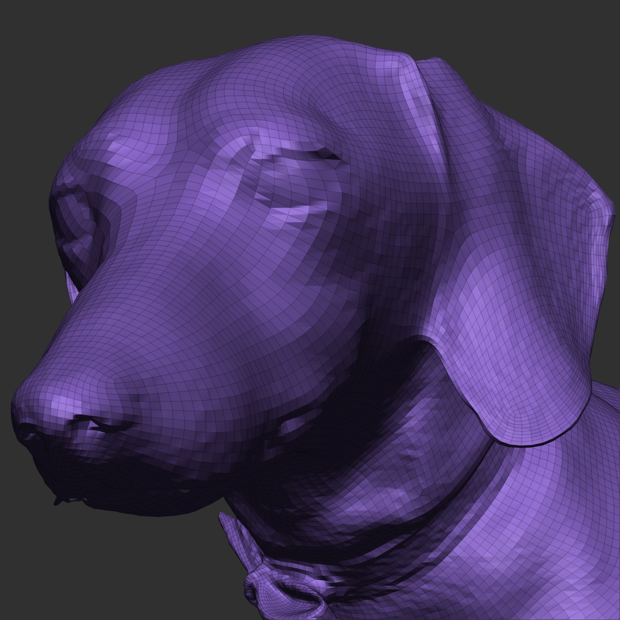 Dachshund dog 26 Low-poly 3D model_6