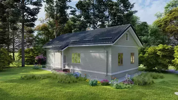 Cottage on the forest