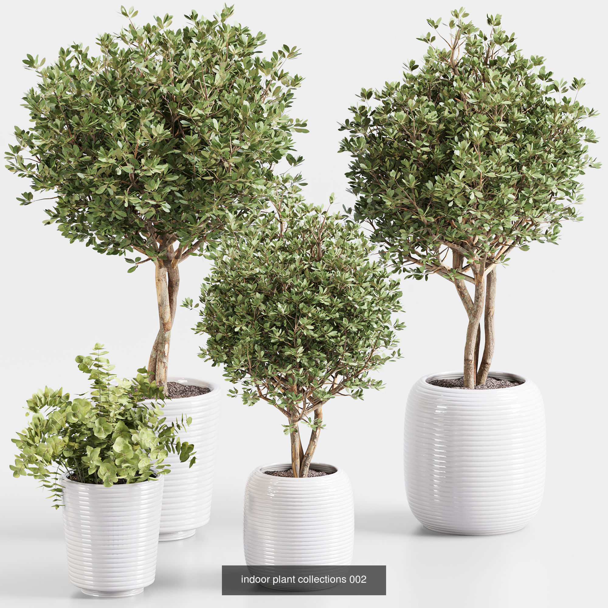 plant and bouqute collections vol 2 _4