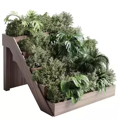 Collection outdoor plant stairs wooden vase pot fern bush 