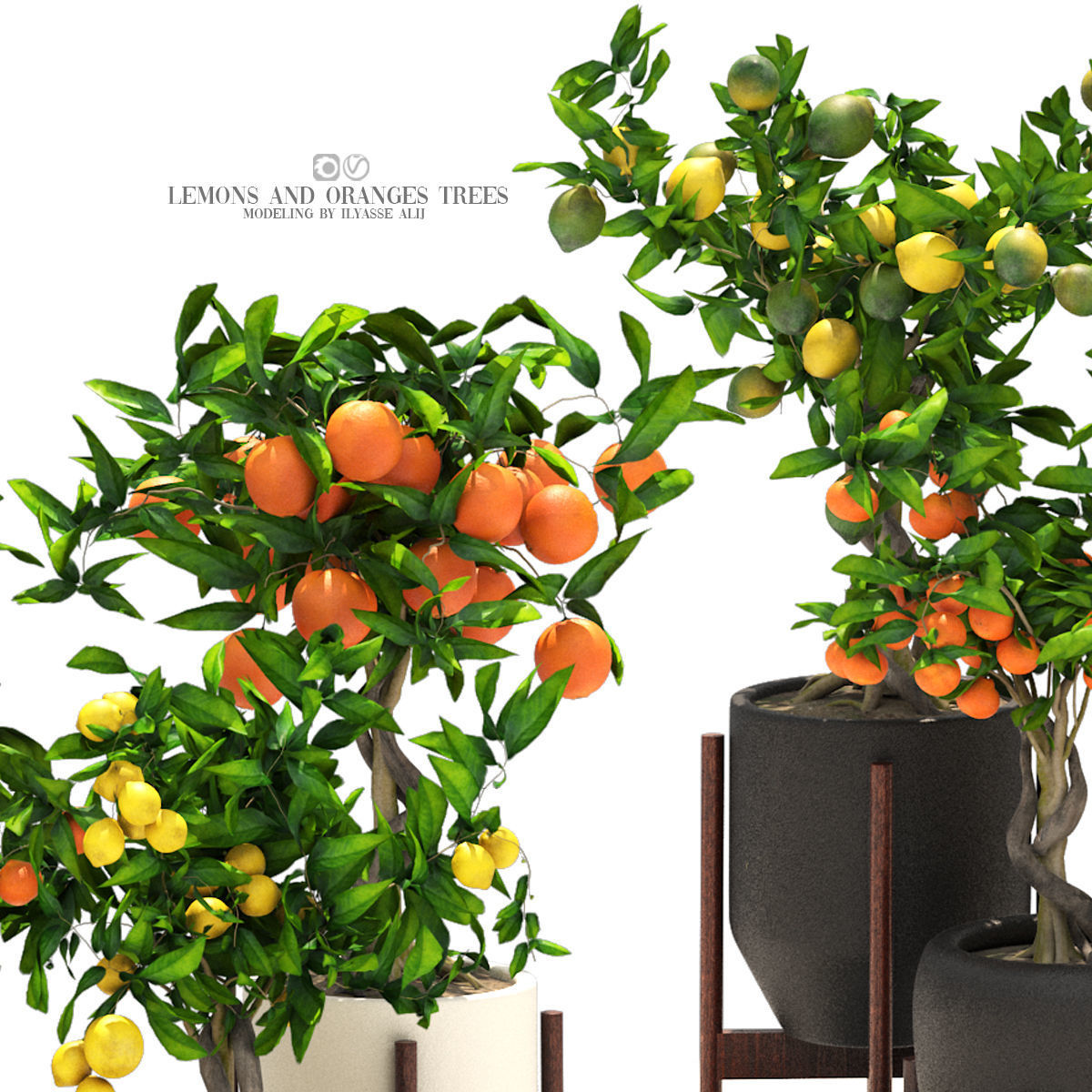 Collection of plants 002 lemons and oranges trees  3D model_2