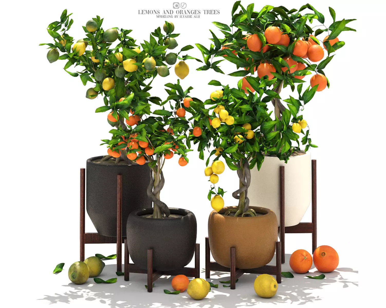 Collection of plants 002 lemons and oranges trees  3D model_0