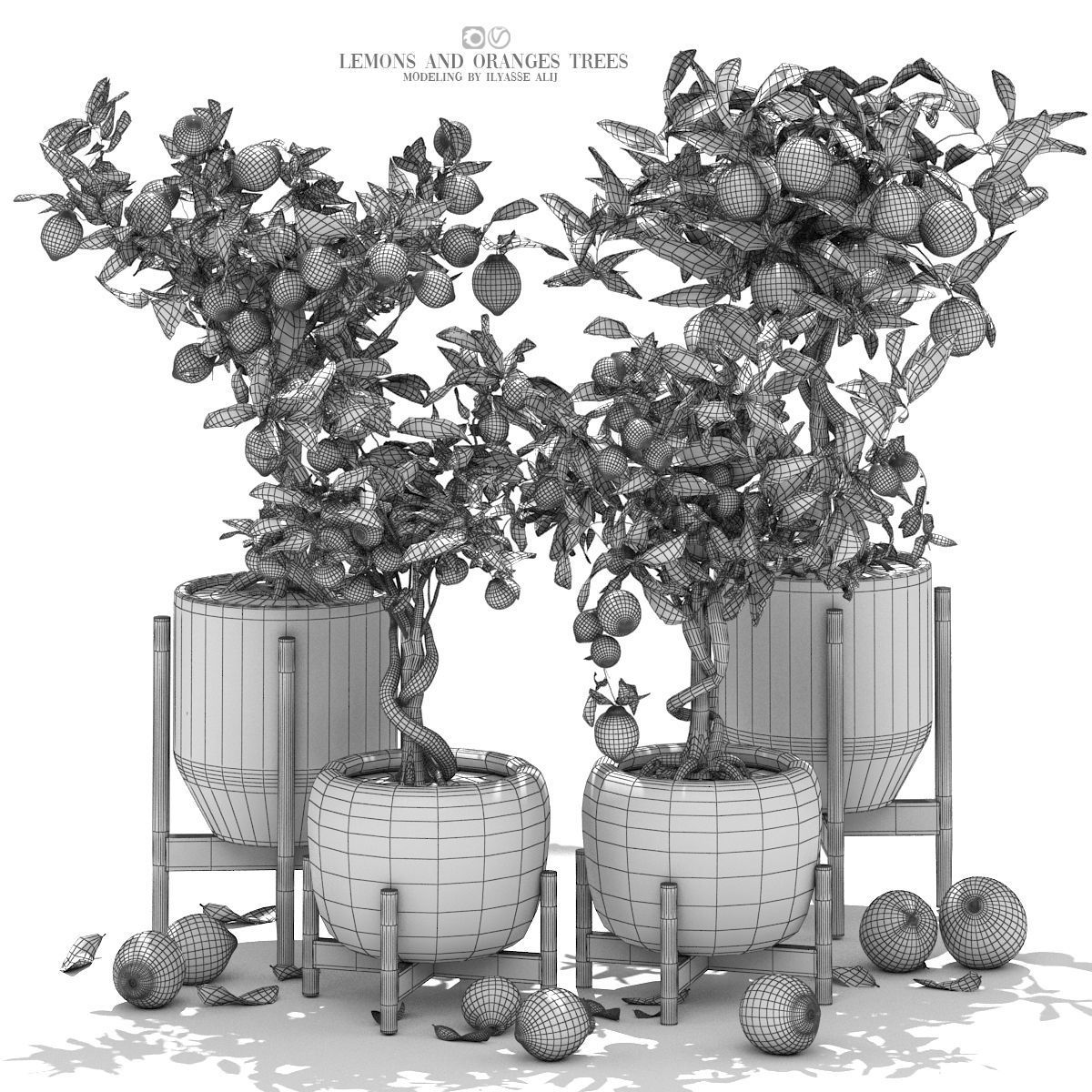 Collection of plants 002 lemons and oranges trees  3D model_3