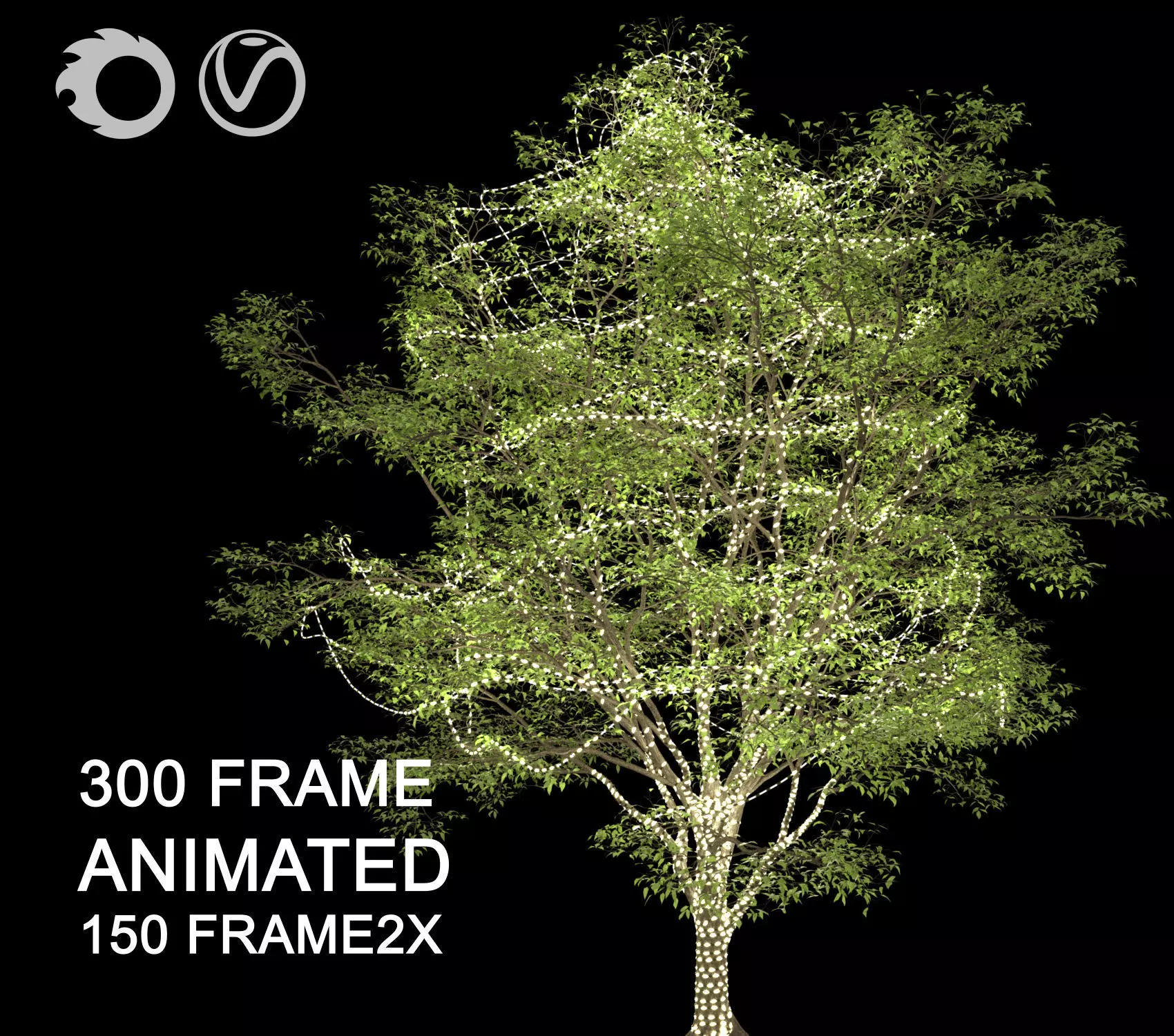 ENGLISH WALNUT TREE light 3D model 3D model_0