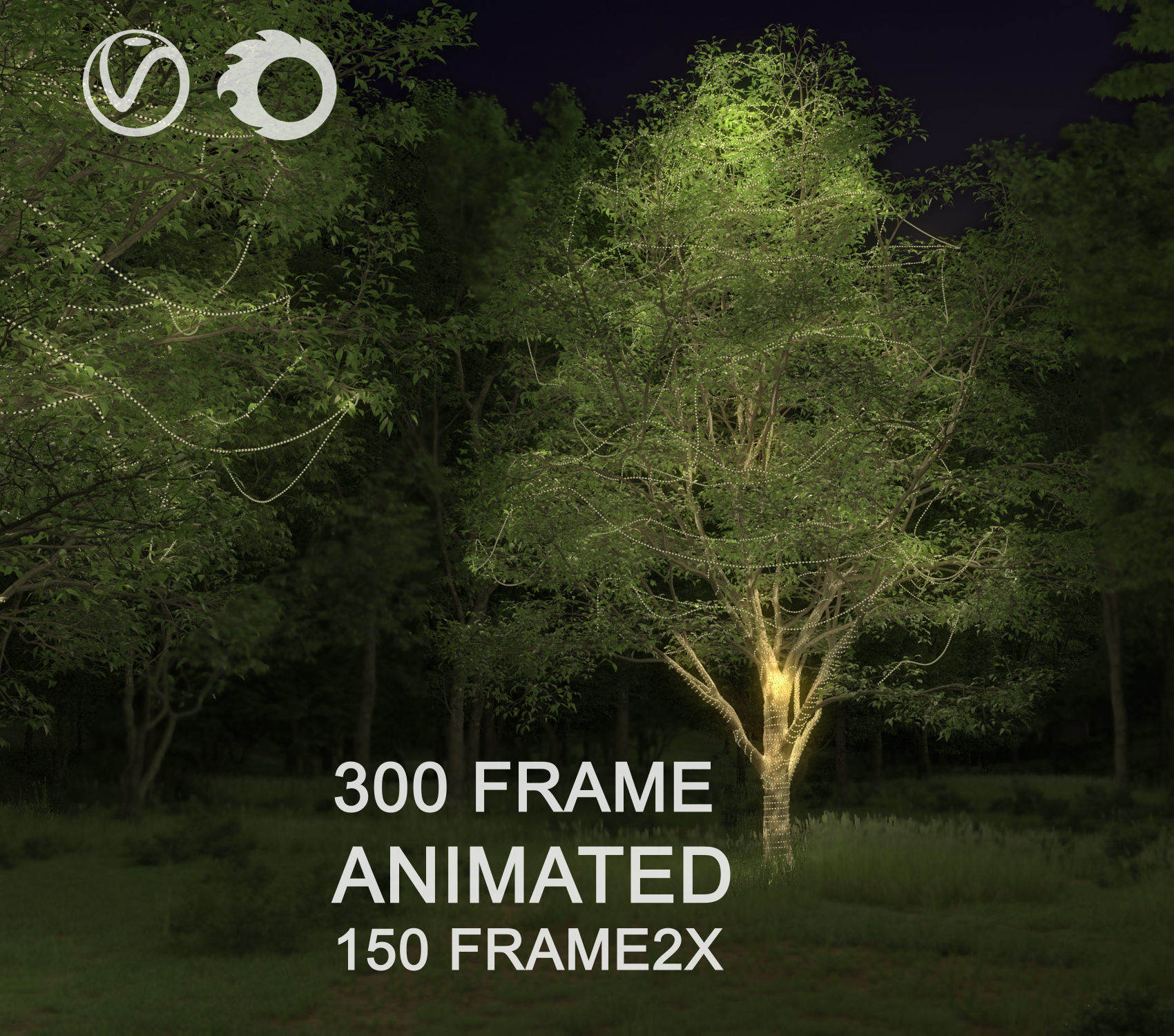 ENGLISH WALNUT TREE light 3D model 3D model_2