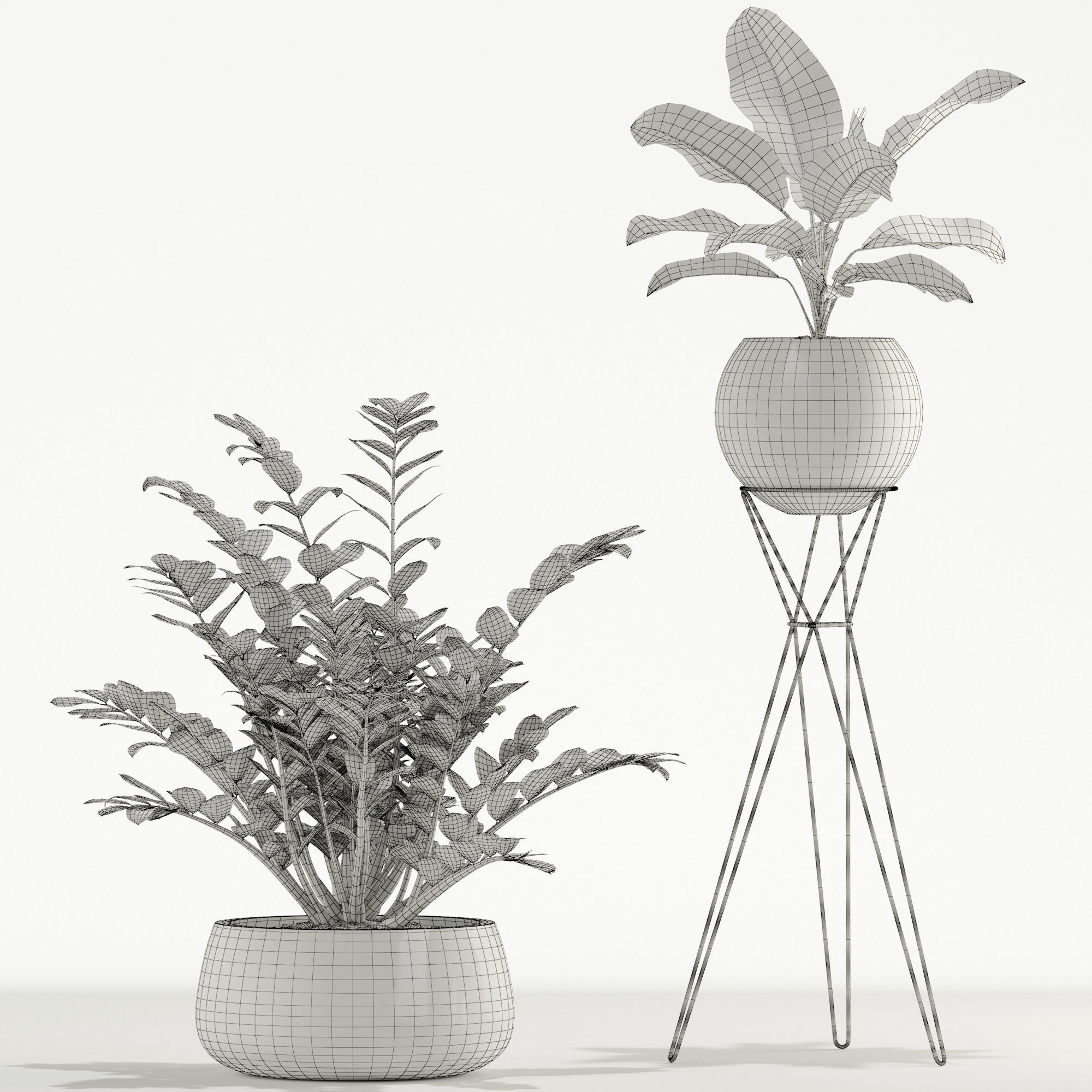 Plants collection 726 3D model_4