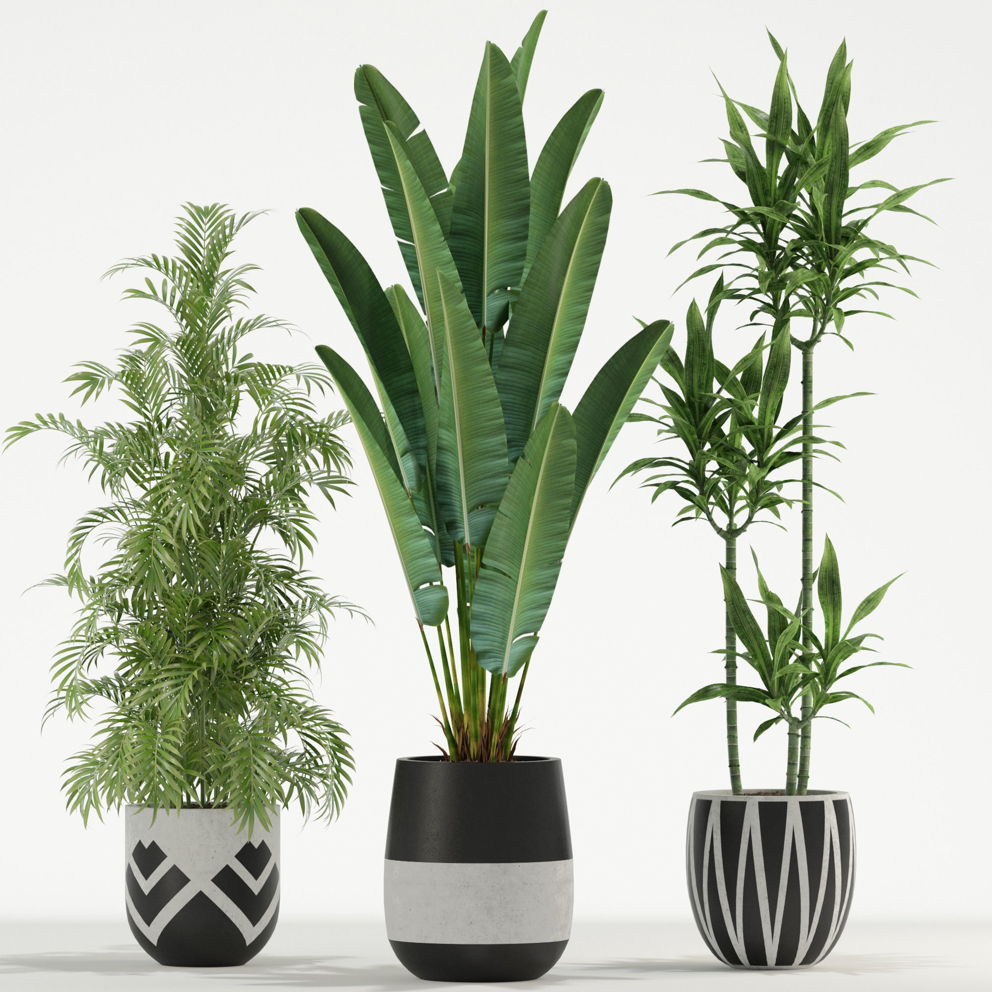 Plants collection 726 3D model_1