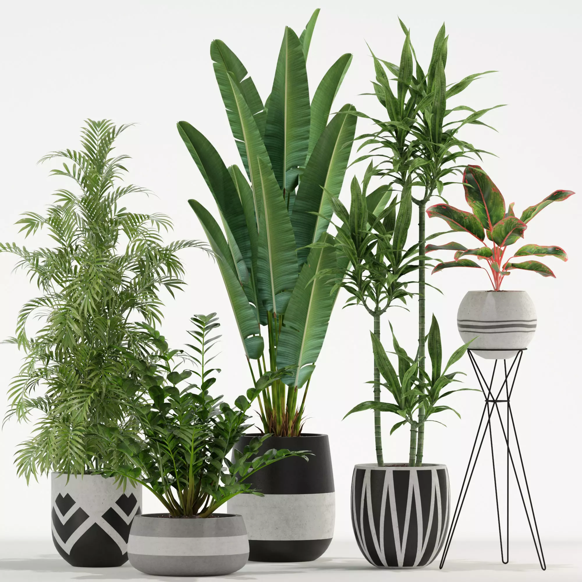 Plants collection 726 3D model_0