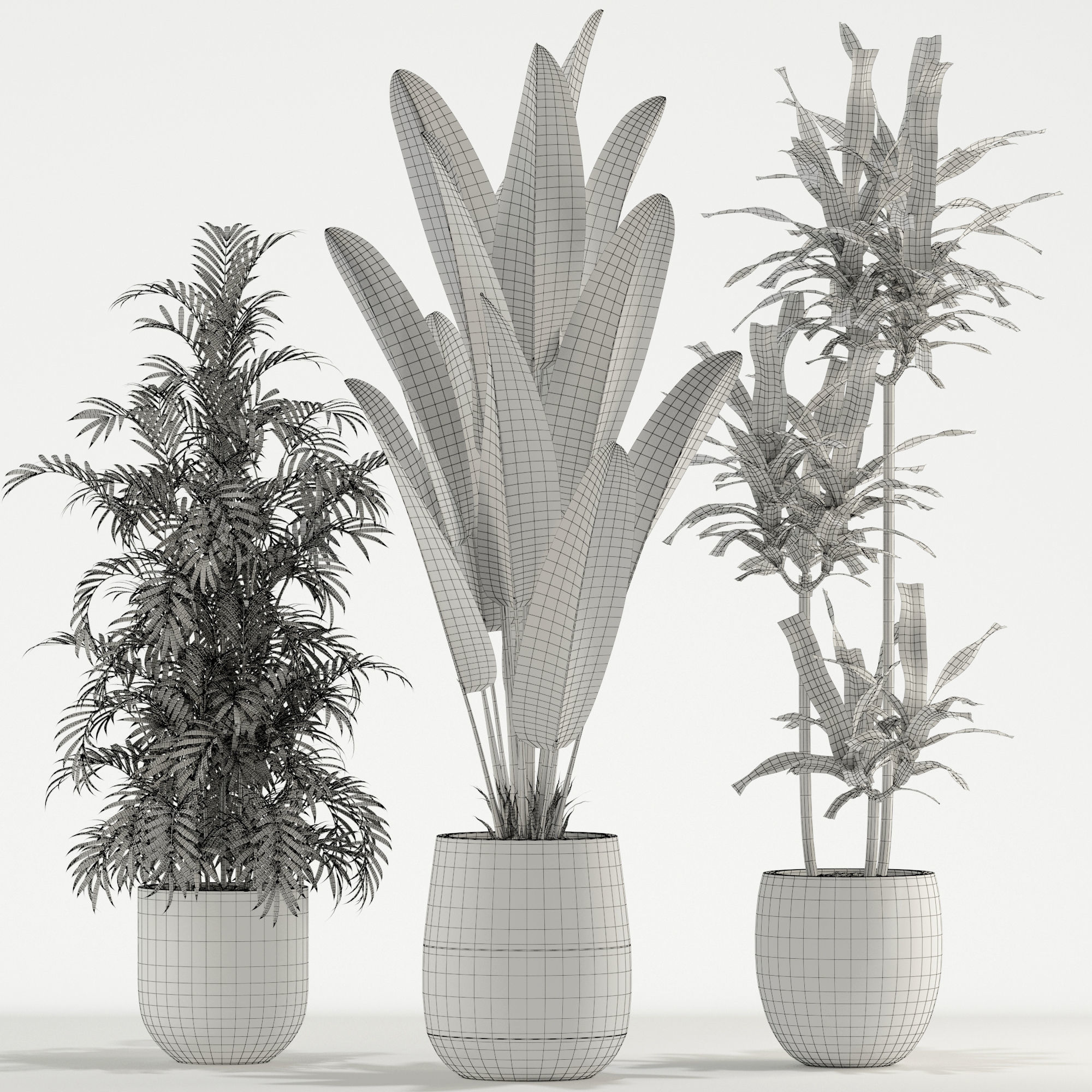 Plants collection 726 3D model_3