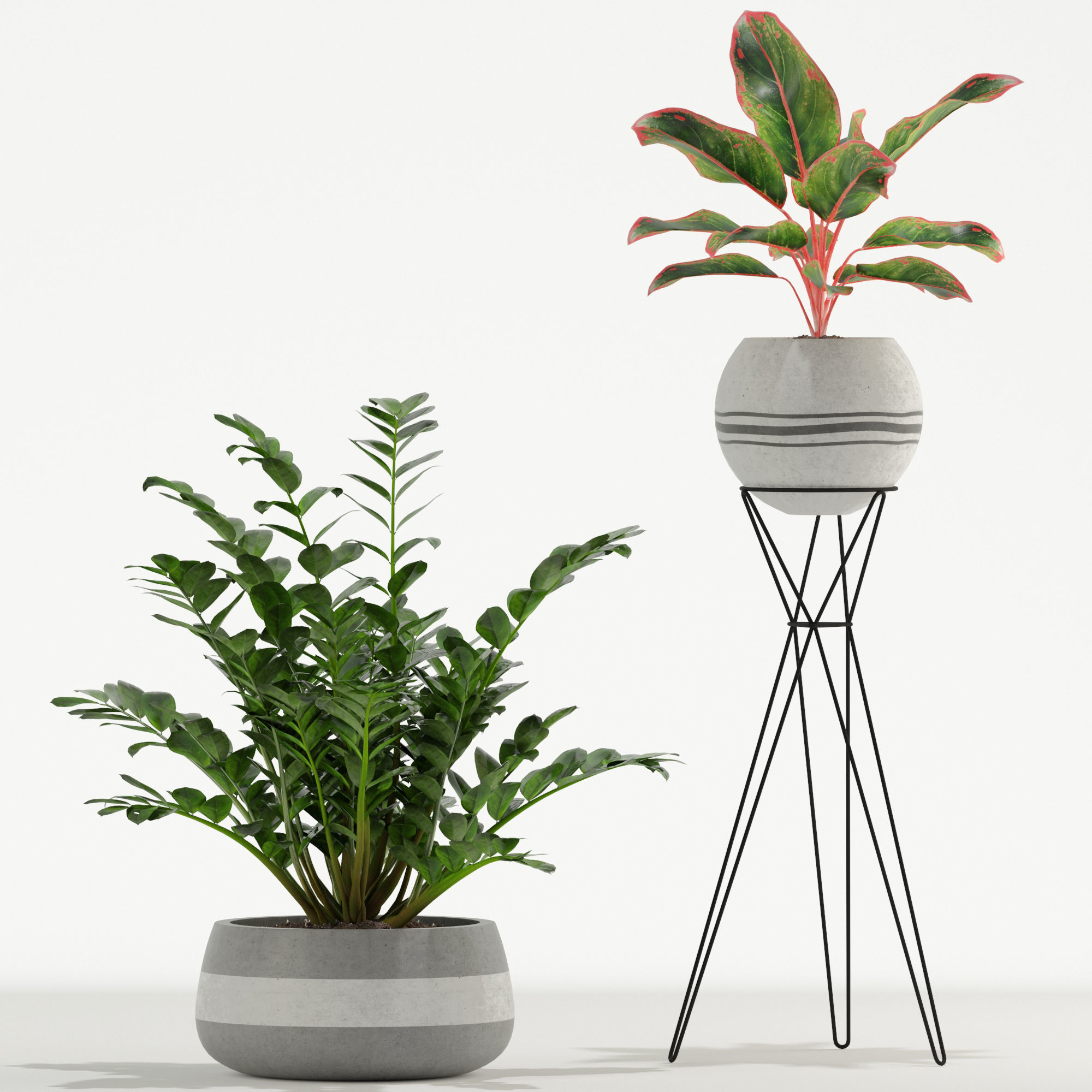 Plants collection 726 3D model_2