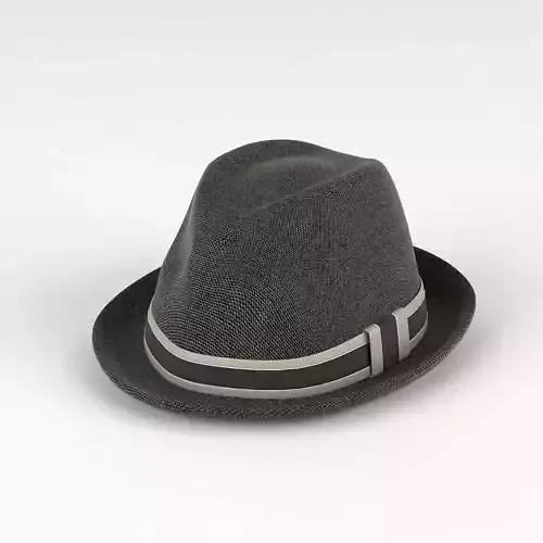 Hat 1 fedora