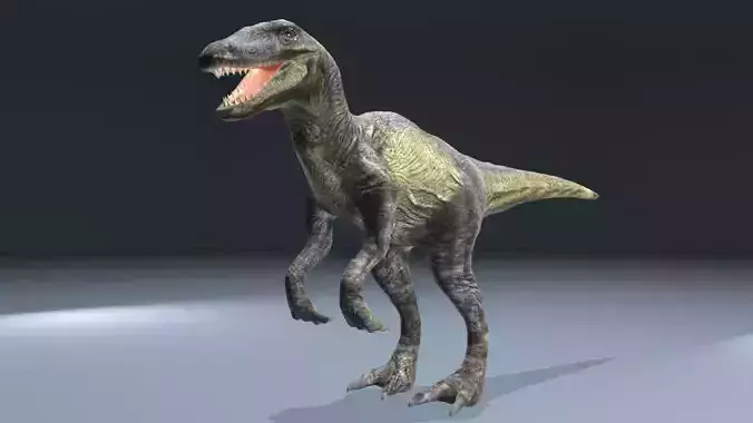This dinosaur model  Raptor