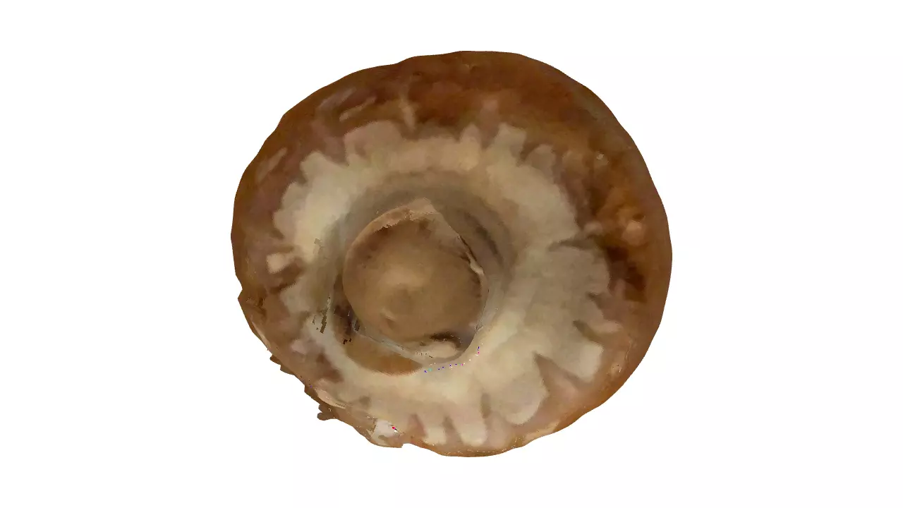 A creepy mushroom for any purpose 3D print model