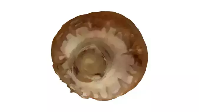 A creepy mushroom for any purpose