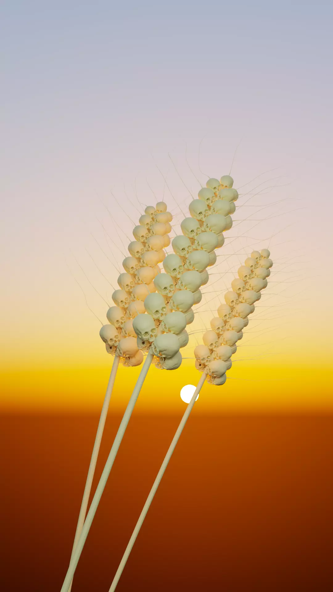 Wheat Scull Free 3D model