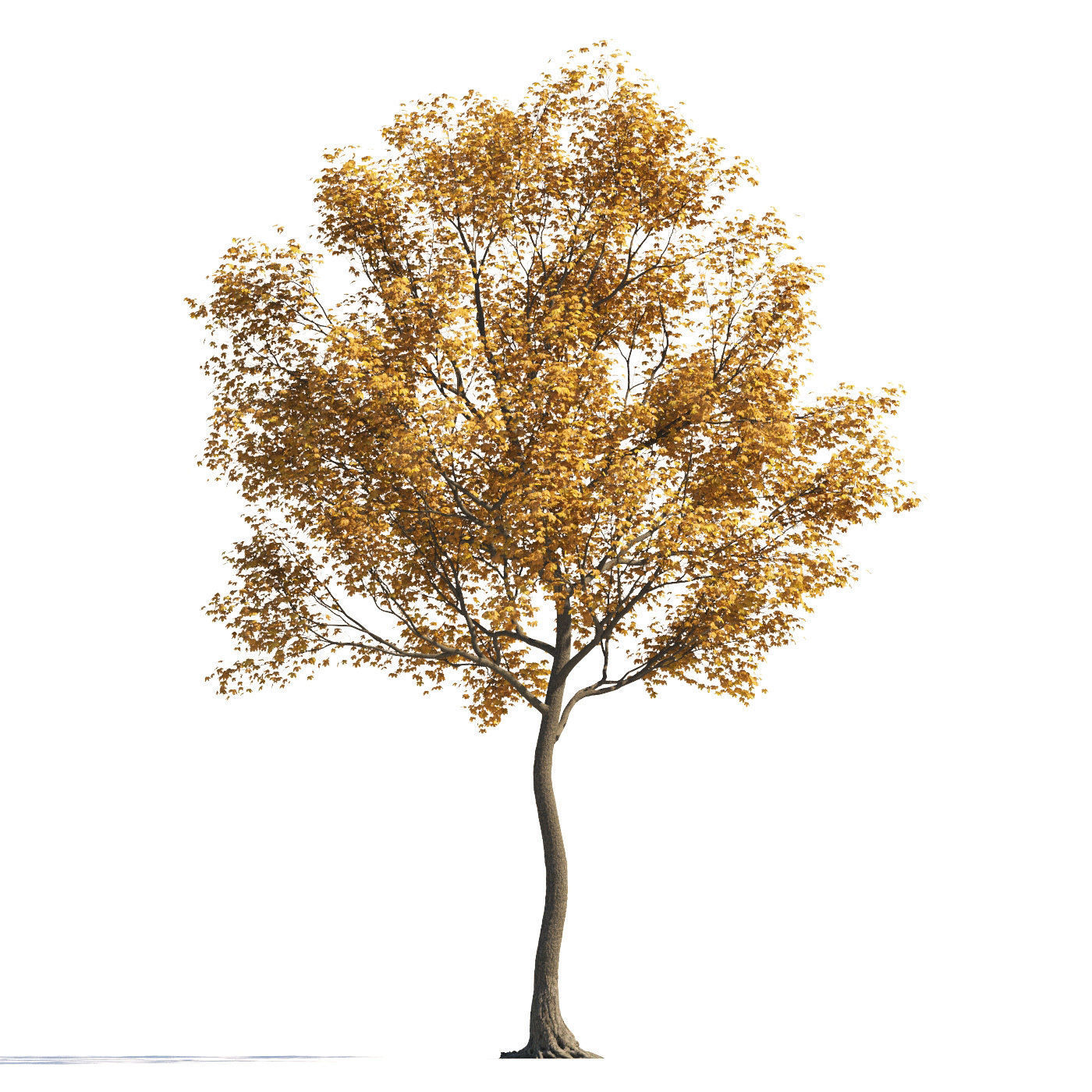 Archmodels vol 258 - collection of seasonal trees 3D model_40