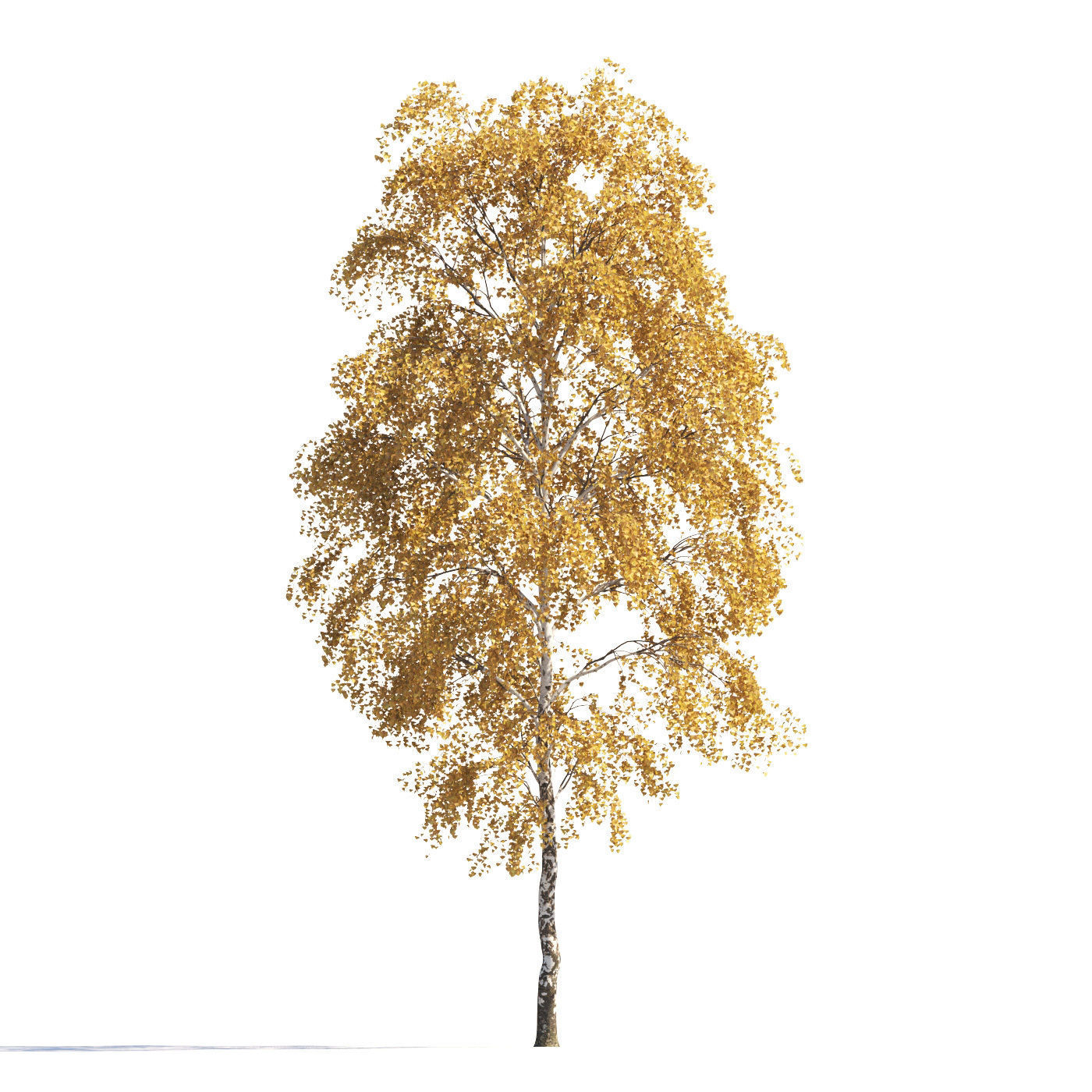 Archmodels vol 258 - collection of seasonal trees 3D model_9