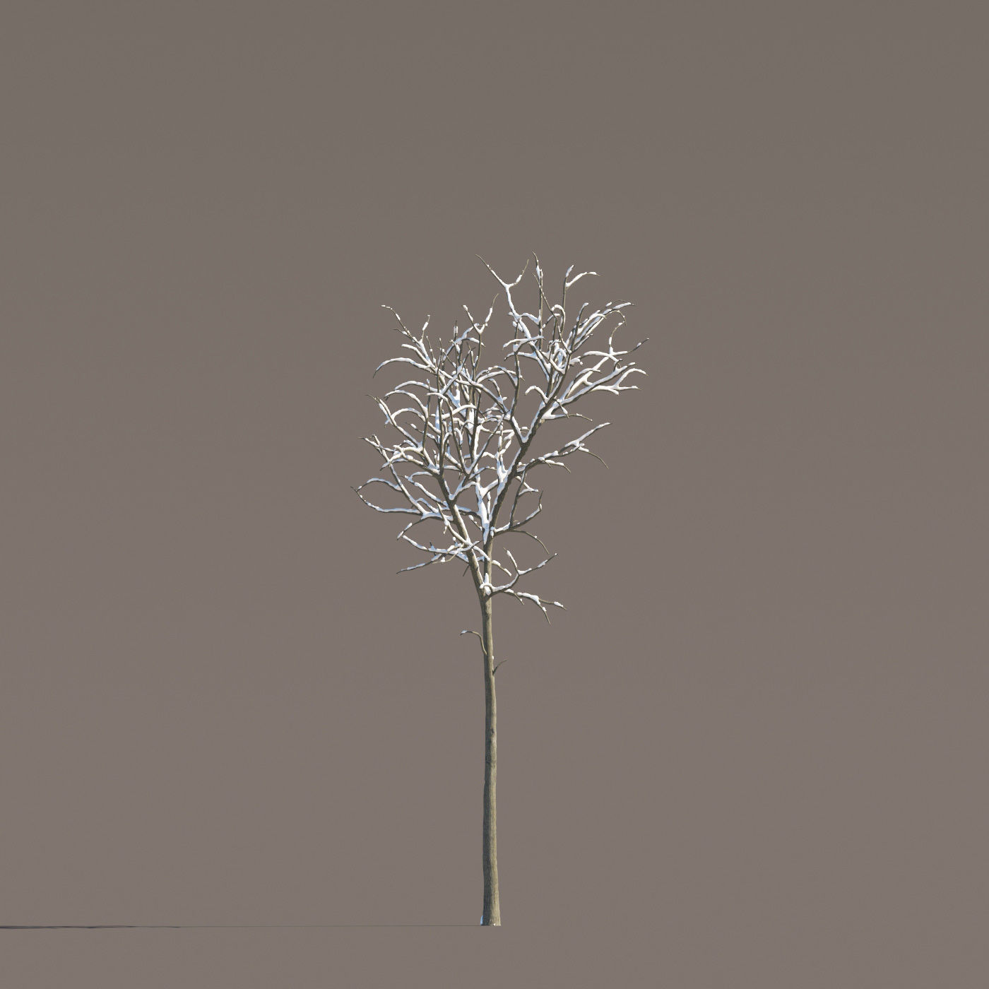 Archmodels vol 258 - collection of seasonal trees 3D model_62