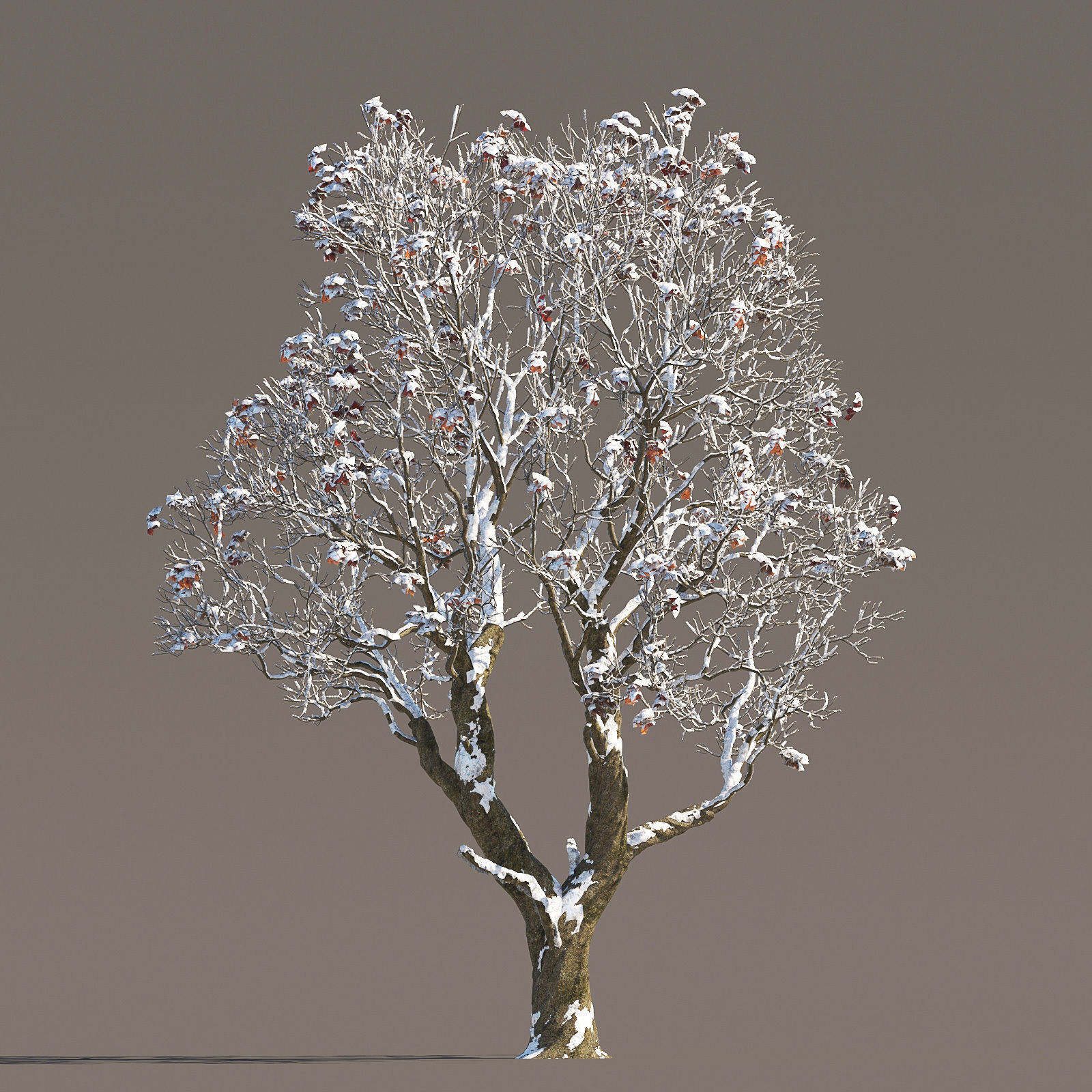 Archmodels vol 258 - collection of seasonal trees 3D model_53