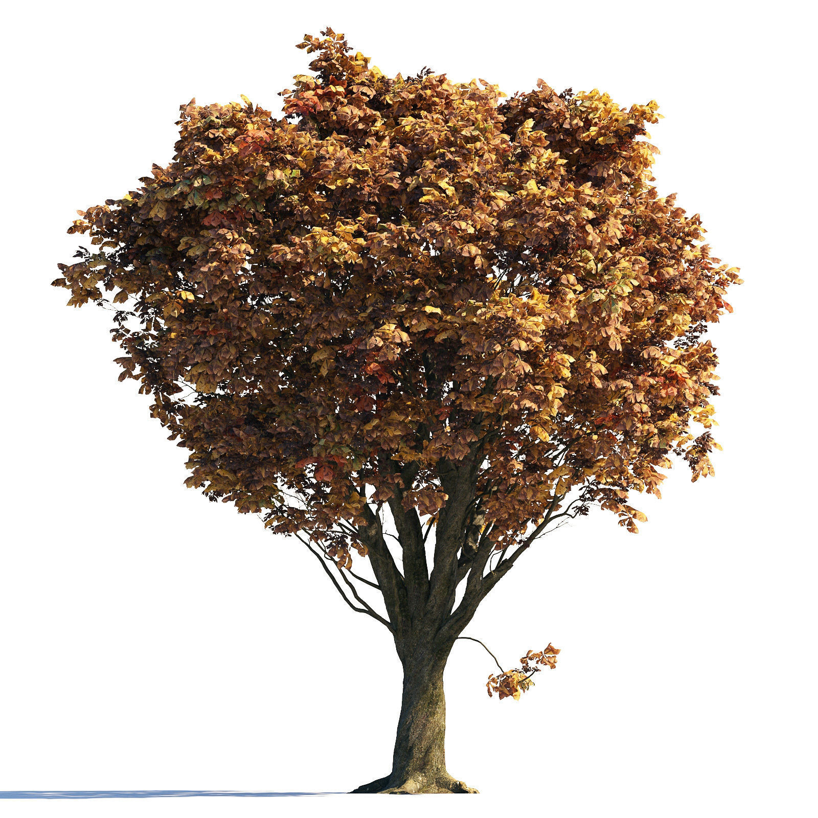 Archmodels vol 258 - collection of seasonal trees 3D model_16