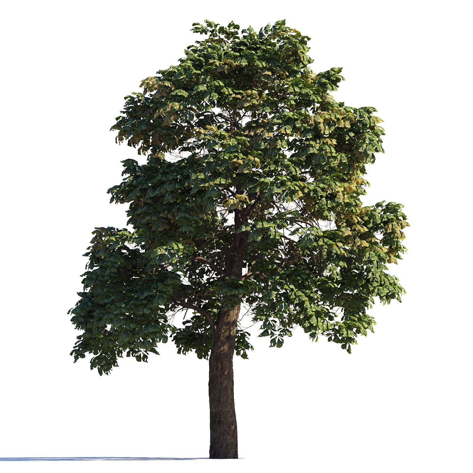 Archmodels vol 258 - collection of seasonal trees 3D model_94