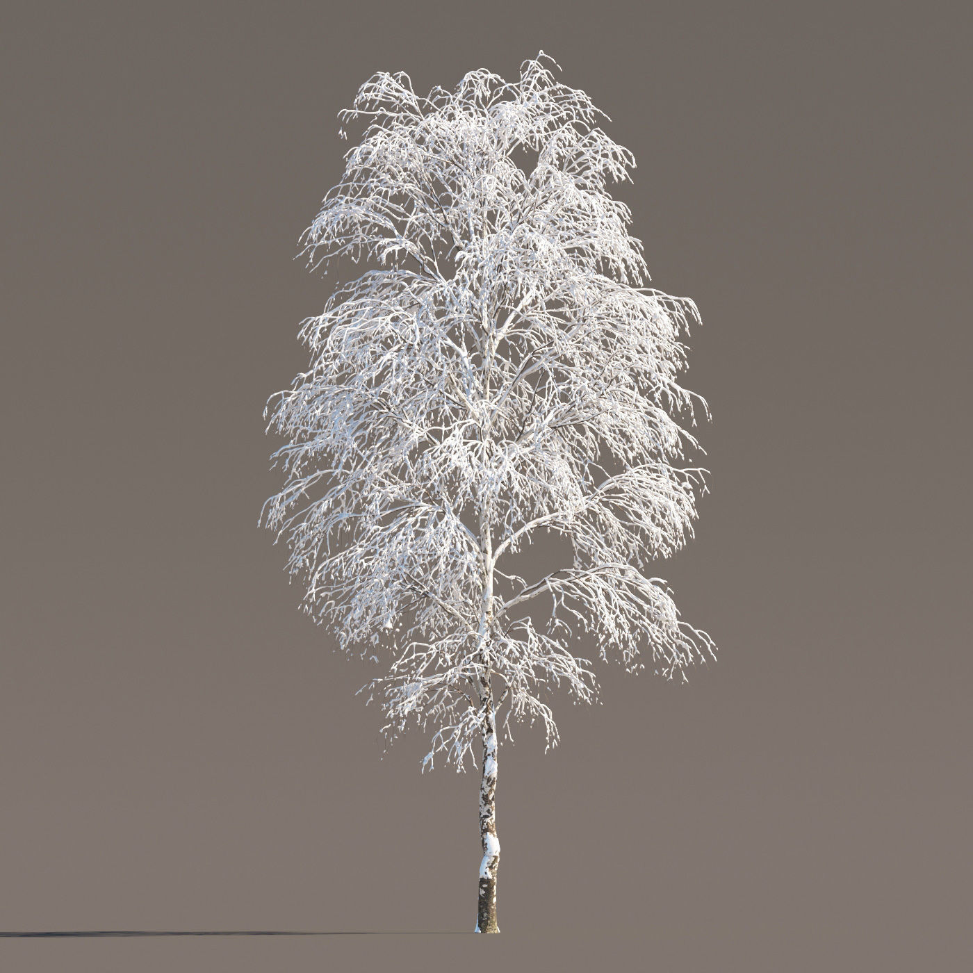 Archmodels vol 258 - collection of seasonal trees 3D model_49