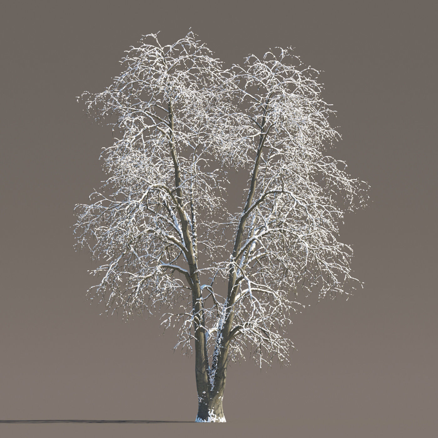 Archmodels vol 258 - collection of seasonal trees 3D model_70