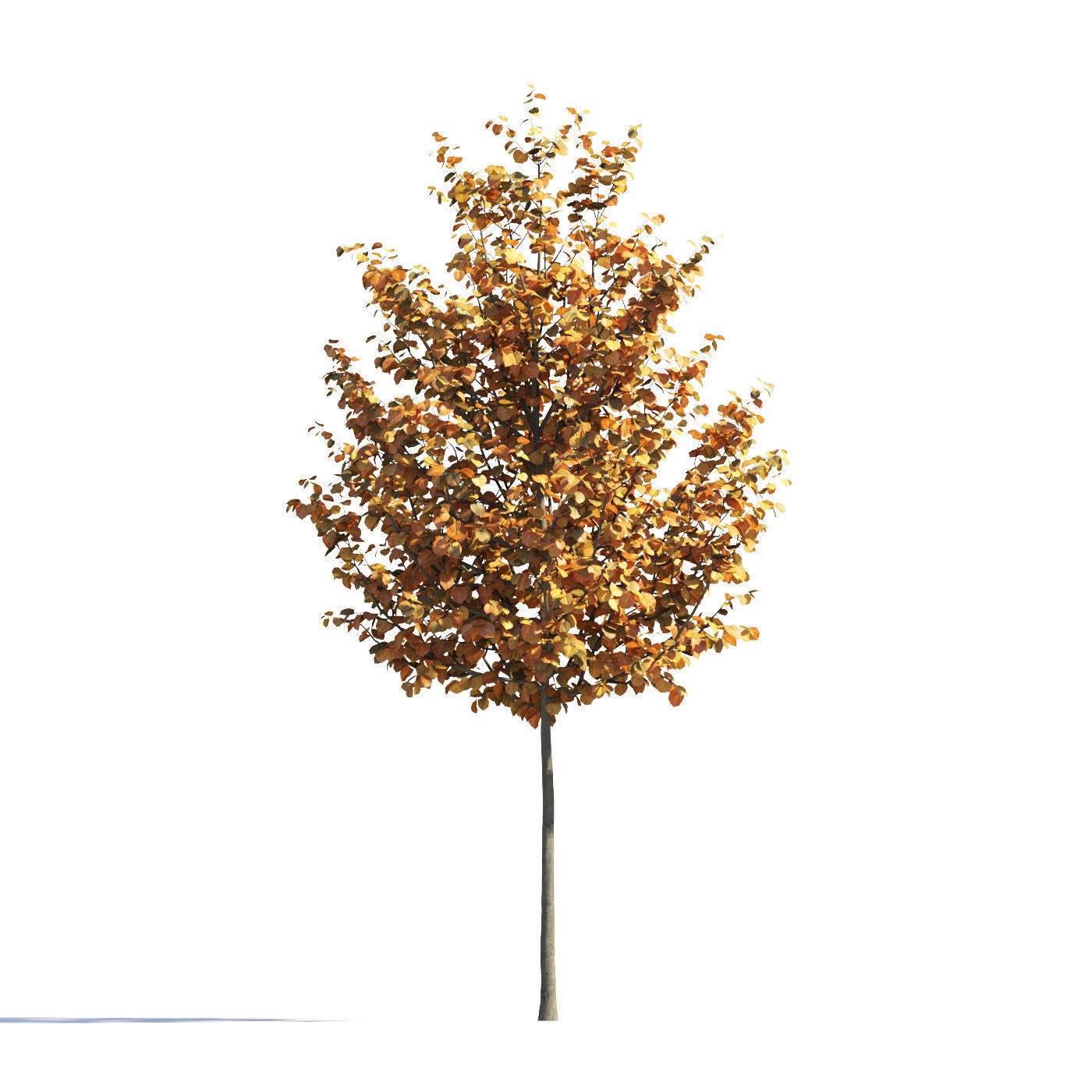 Archmodels vol 258 - collection of seasonal trees 3D model_25