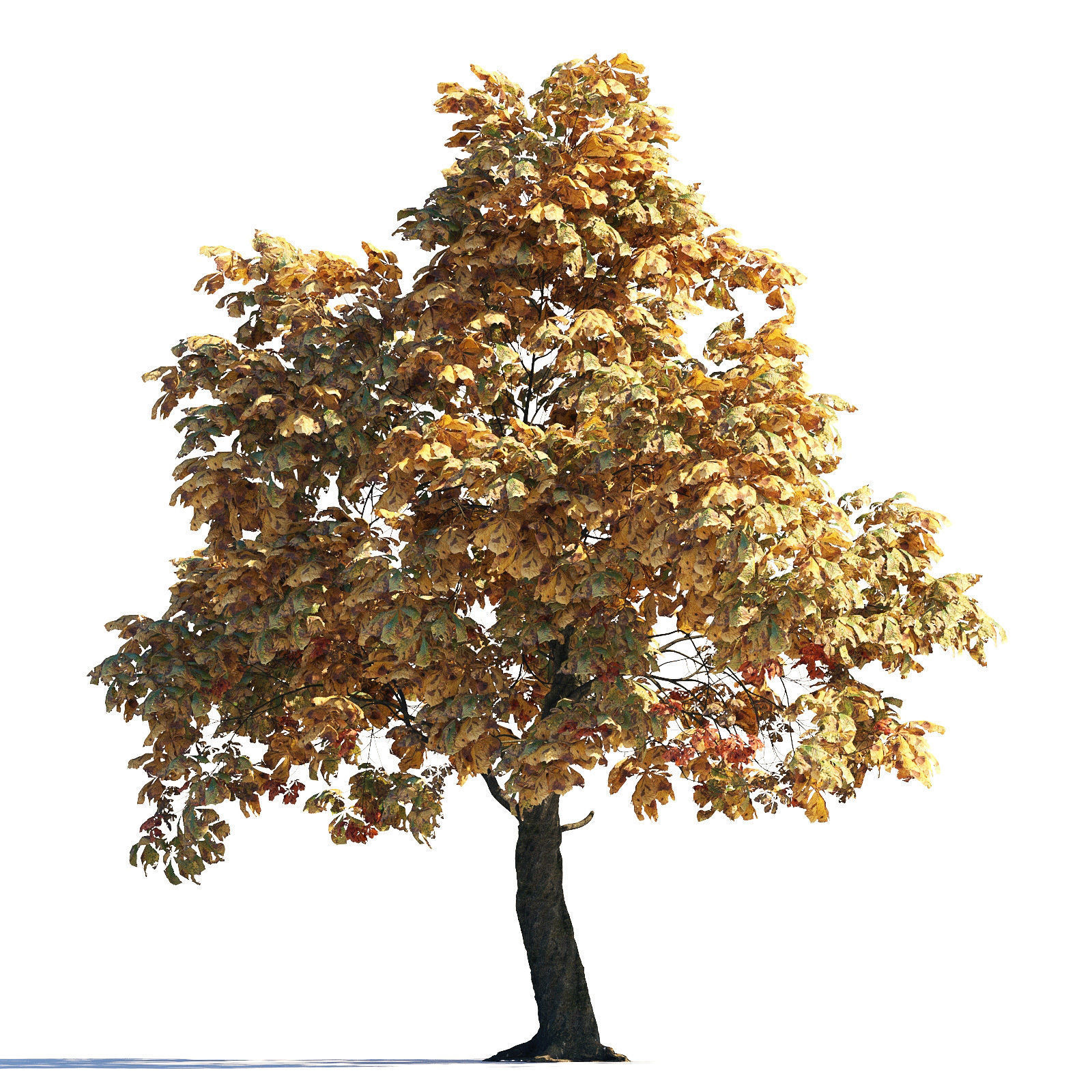 Archmodels vol 258 - collection of seasonal trees 3D model_12