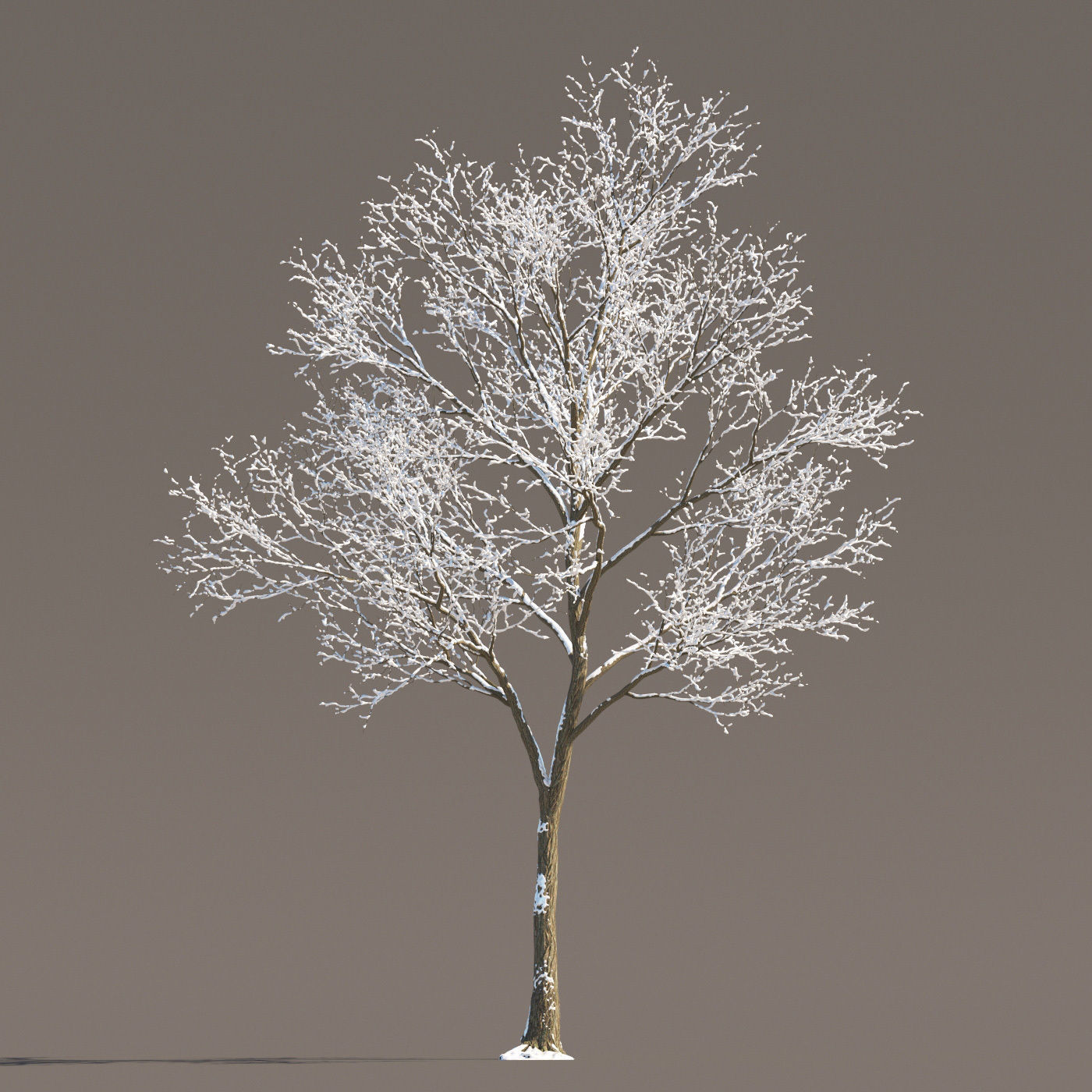 Archmodels vol 258 - collection of seasonal trees 3D model_72