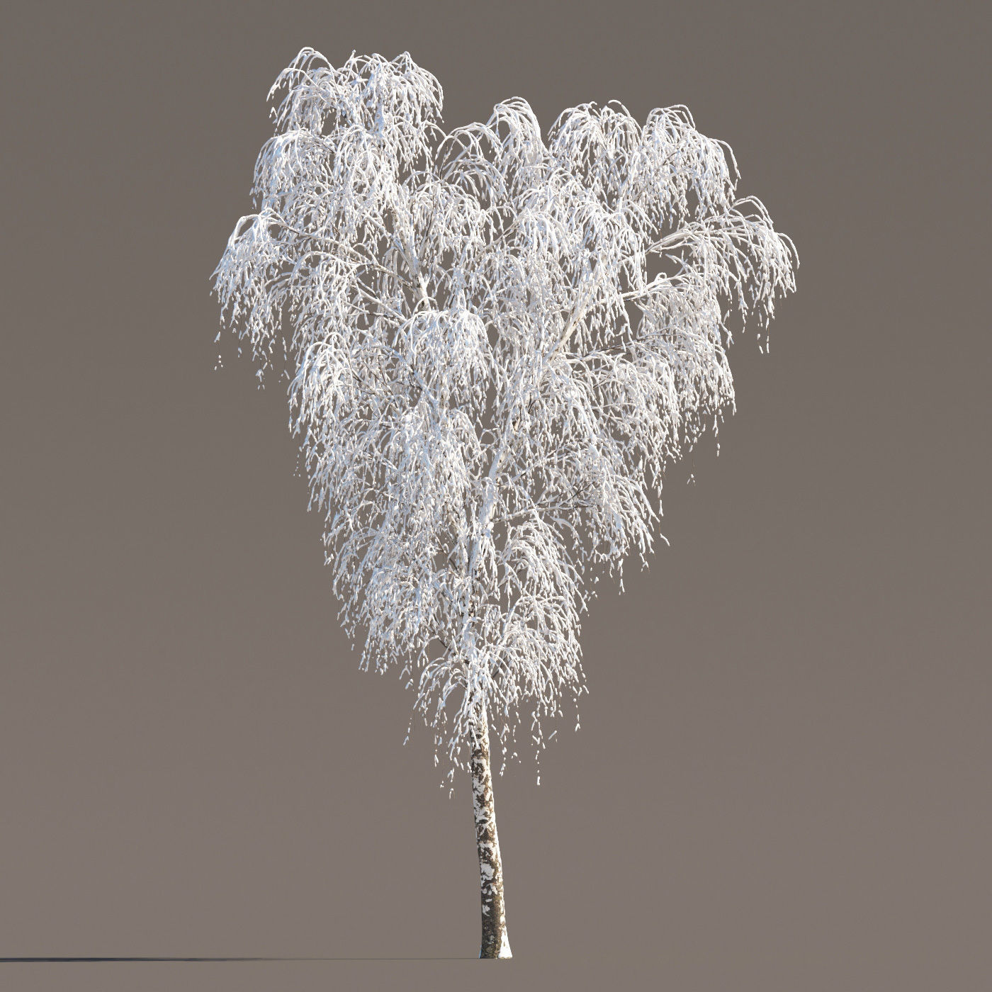 Archmodels vol 258 - collection of seasonal trees 3D model_48
