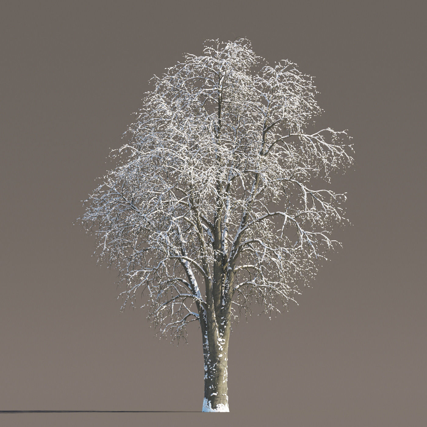 Archmodels vol 258 - collection of seasonal trees 3D model_69