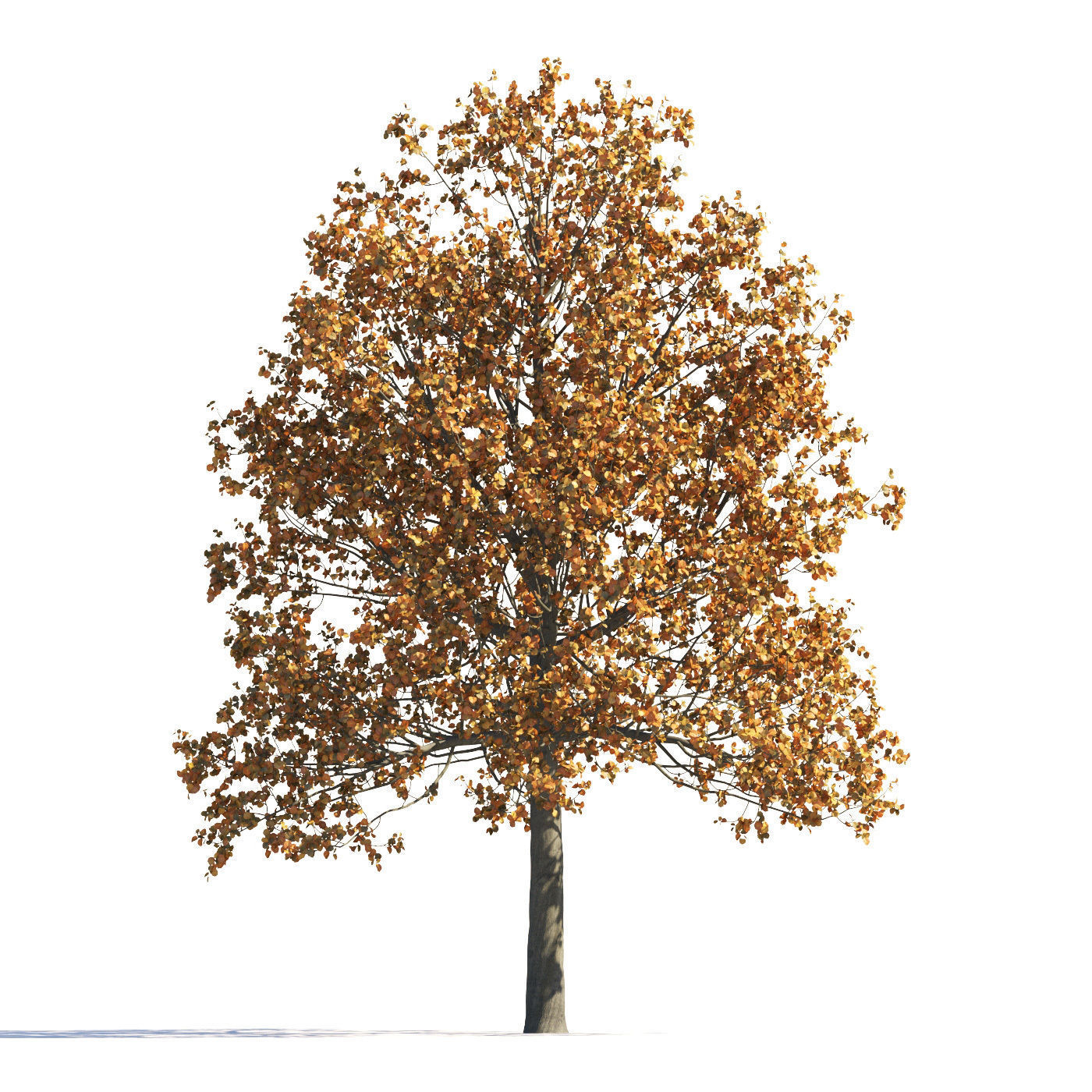 Archmodels vol 258 - collection of seasonal trees 3D model_26
